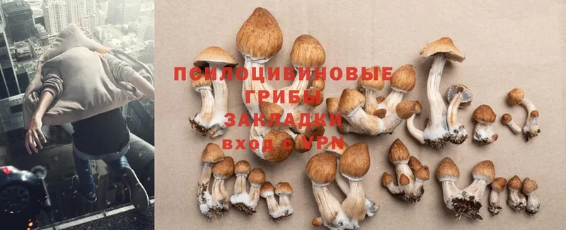 купить наркотики цена  кракен онион  Галлюциногенные грибы Magic Shrooms  Голицыно 